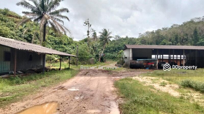 ขาย - ที่ดินเปล่า, พังงา