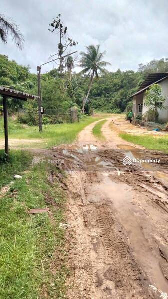 ขาย - ที่ดินเปล่า, พังงา