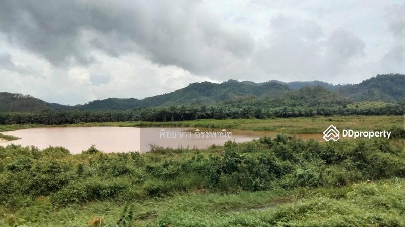 ขาย - ที่ดินเปล่า, พังงา