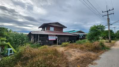 ขาย - ขายที่ดิน ต.ลาดยาว อ.ลาดยาวจ.นครสวรรค์, นครสวรรค์