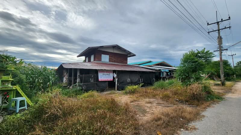 ขายที่ดิน ต.ลาดยาว อ.ลาดยาวจ.นครสวรรค์, Nakhon Sawan, Lat Yao, Nakhon Sawan, , 1,368 sqm, Land For Sale, by วรรัตน์ ตุลยานันต์, 60182231 - DDproperty.com