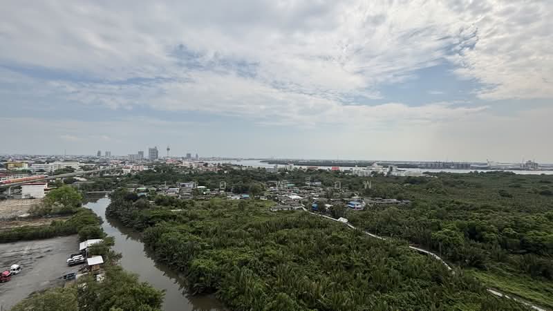 The Trust Condo @ BTS Erawan, Samut Prakan, 92 Sukhumvit Road, Pak Nam, Muang Samut Prakarn, Samut Prakan, 1 Bedroom, 29 sqm, Condo For Rent, by เชอ พร็อพ, 60182918 - DDproperty.com