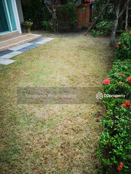 ขาย - Casa Ville Sukhumvit 103 : คาซ่าวิลล์ สุขุมวิท 103, กรุงเทพ