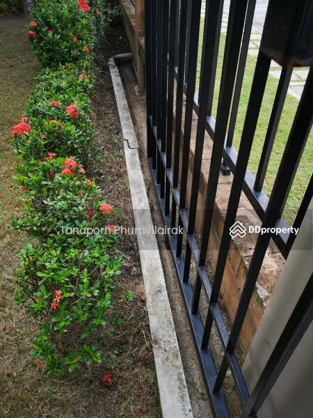 ขาย - Casa Ville Sukhumvit 103 : คาซ่าวิลล์ สุขุมวิท 103, กรุงเทพ