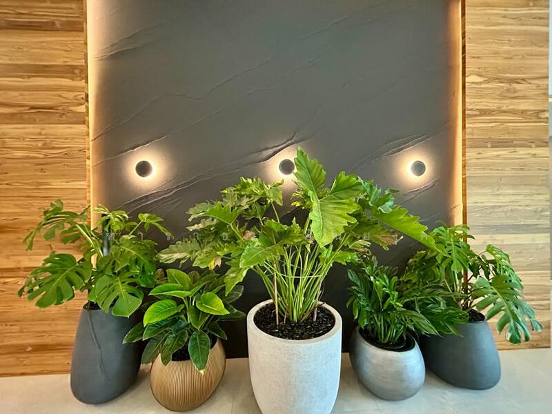 Pattaya Luxury Villa, Chon Buri (Pattaya), Nong Pru, Bang Lamung (Pattaya), Chon Buri (Pattaya), 5 Bedrooms, 520 sqm, Villa For Sale, by Tharathorn Yuenyong, 60183699 - DDproperty.com