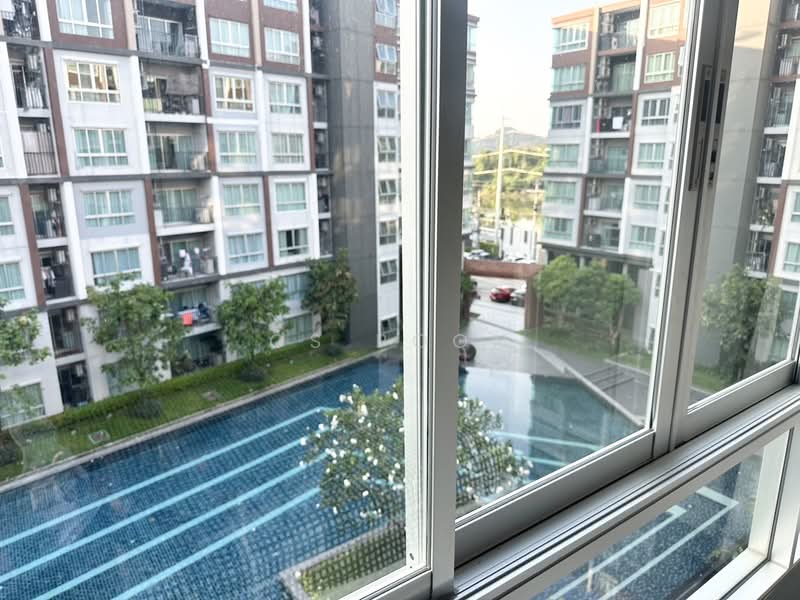 Dcondo Mine, Phuket, Vichitsongkram Road, Kathu, Phuket, Studio, 30 sqm, Condo For Rent, by CS Poon, 60183863 - DDproperty.com