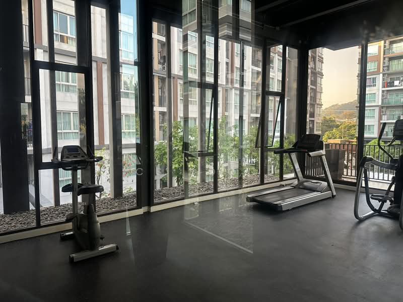 Dcondo Mine, Phuket, Vichitsongkram Road, Kathu, Phuket, Studio, 30 sqm, Condo For Rent, by CS Poon, 60183863 - DDproperty.com