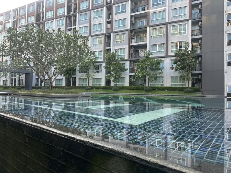 Dcondo Mine, Phuket, Vichitsongkram Road, Kathu, Phuket, Studio, 30 sqm, Condo For Rent, by CS Poon, 60183863 - DDproperty.com