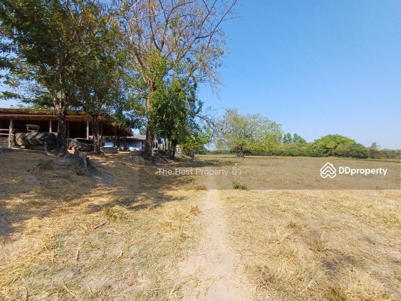 ขาย - ที่ดินปากท่อ ราชบุรี, ราชบุรี