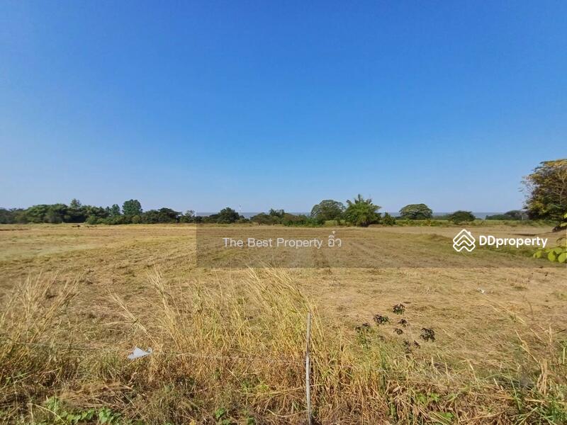 ขาย - ที่ดินปากท่อ ราชบุรี, ราชบุรี