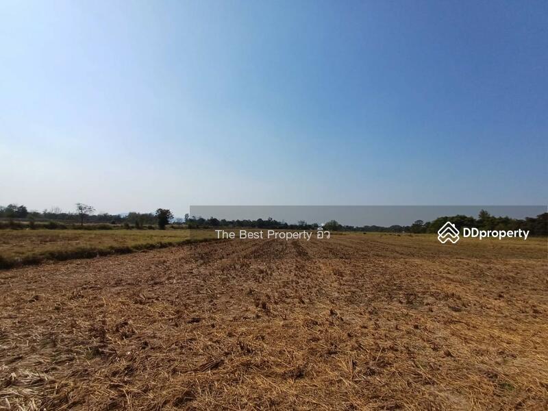 ขาย - ที่ดินปากท่อ ราชบุรี, ราชบุรี