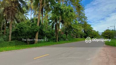 ขาย - ที่ดินบ้านปรก สมุทรสงคราม, สมุทรสงคราม
