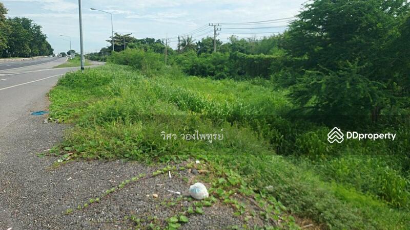 ขาย - ตำบลชัยสิทธิ์ อำเภอไชโย จังหวัดอ่างทอง, อ่างทอง