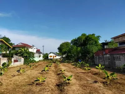 ขาย - ที่ดิน, พิษณุโลก