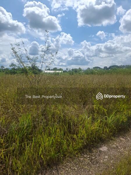 ขาย - ที่ดินเวียงชัย เชียงราย, เชียงราย