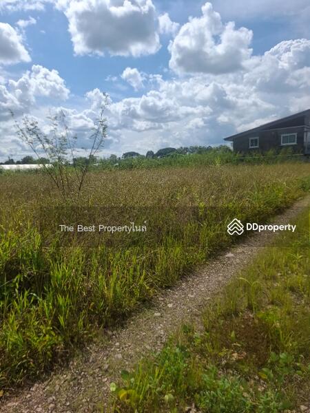 ขาย - ที่ดินเวียงชัย เชียงราย, เชียงราย