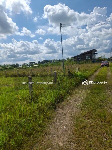 ขาย - ที่ดินเวียงชัย เชียงราย, เชียงราย