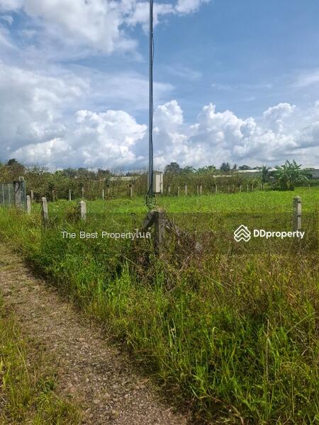 ขาย - ที่ดินเวียงชัย เชียงราย, เชียงราย