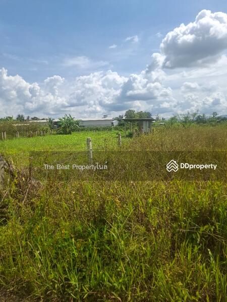 ขาย - ที่ดินเวียงชัย เชียงราย, เชียงราย