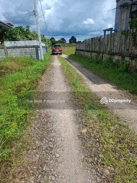 ขาย - ที่ดินเวียงชัย เชียงราย, เชียงราย