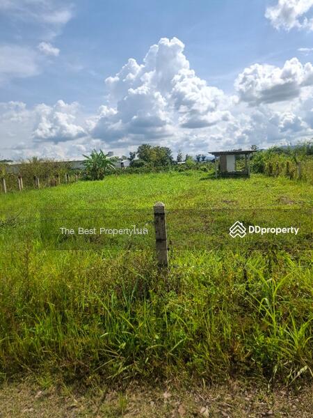 ขาย - ที่ดินเวียงชัย เชียงราย, เชียงราย