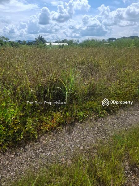 ขาย - ที่ดินเวียงชัย เชียงราย, เชียงราย