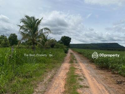 ขาย - ที่ดินสีคิ้ว นครราชสีมา, นครราชสีมา