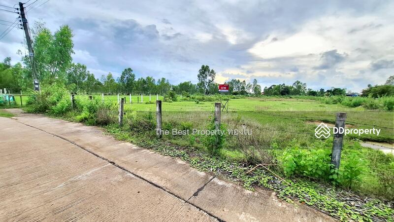 For Sale - ที่ดินดงลาน ร้อยเอ็ด, Roi Et