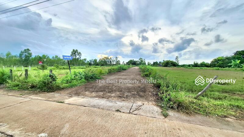 For Sale - ที่ดินดงลาน ร้อยเอ็ด, Roi Et