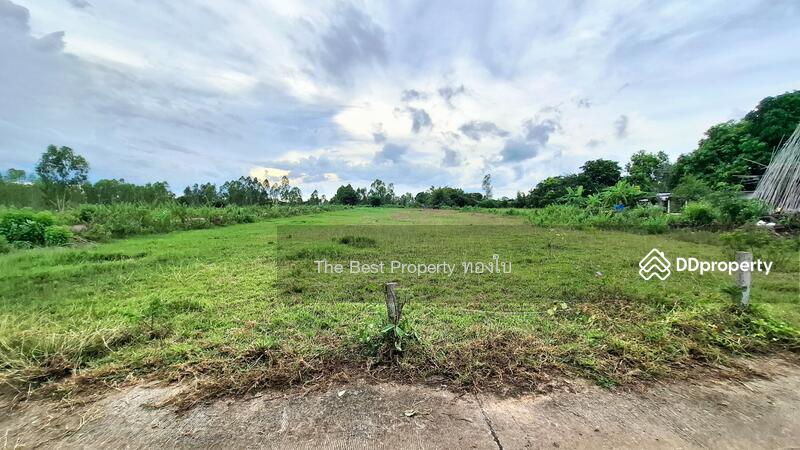For Sale - ที่ดินดงลาน ร้อยเอ็ด, Roi Et
