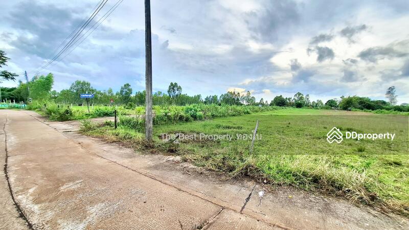 For Sale - ที่ดินดงลาน ร้อยเอ็ด, Roi Et