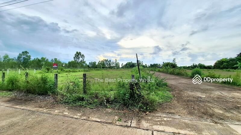 For Sale - ที่ดินดงลาน ร้อยเอ็ด, Roi Et