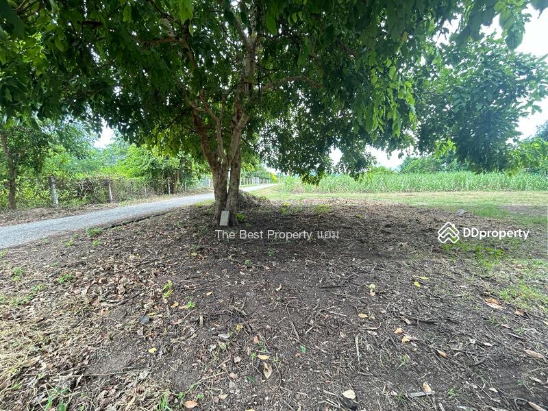 ขาย - ที่ดินบ้านโป่ง ราชบุรี, ราชบุรี
