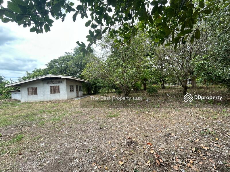 ขาย - ที่ดินบ้านโป่ง ราชบุรี, ราชบุรี
