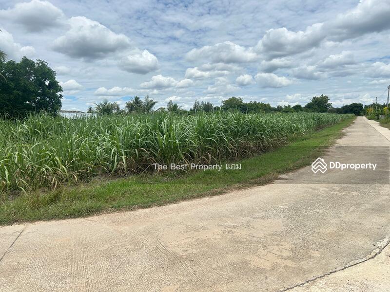 ขาย - ที่ดินบ้านโป่ง ราชบุรี, ราชบุรี