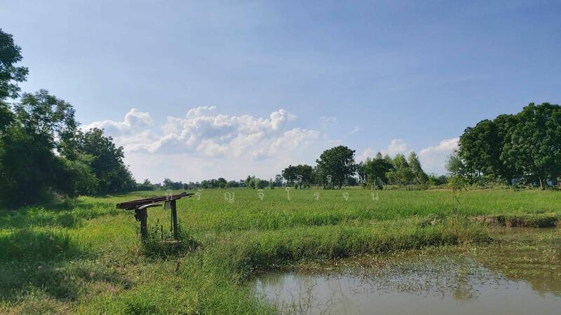 Land for sale in Supunburi Province , 10 Rai 187.3 SQ.W. Sale 1.8 mb, Suphan Buri, Sanam Kli, Muang Suphanburi, Suphan Buri, , 16,749 sqm, Land For Sale, by คัทยวรรณ หิรัญจิโรจน์, 60187062 - DDproperty.com