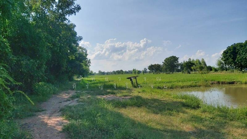 ขาย - ขาย ถูก ! ขาย ที่ดิน เมืองสุพรรณบุรี สุพรรณบุรี ขนาด 10 ไร่ 187.3 ตร.ว. ขายเพียง 1.8ลบ. ด่วน!, สุพรรณบุรี