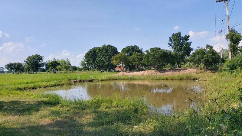Land for sale in Supunburi Province , 10 Rai 187.3 SQ.W. Sale 1.8 mb, Suphan Buri, Sanam Kli, Muang Suphanburi, Suphan Buri, , 16,749 sqm, Land For Sale, by คัทยวรรณ หิรัญจิโรจน์, 60187062 - DDproperty.com