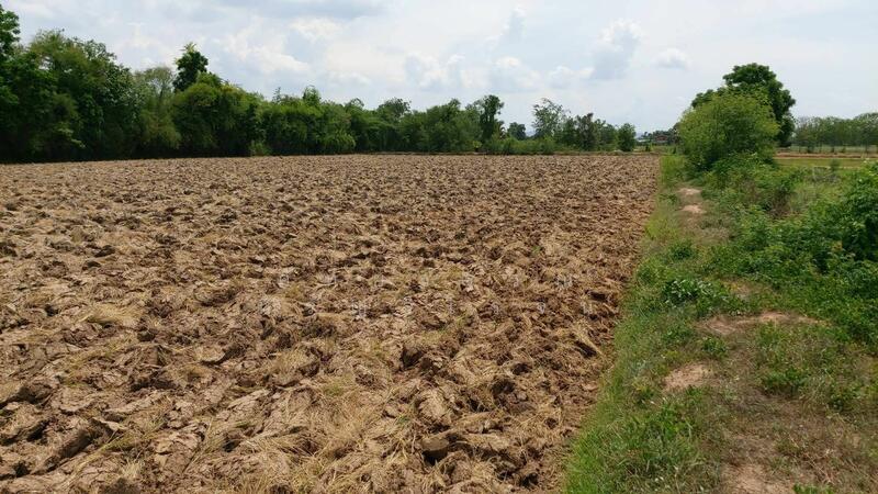 ขาย - ขาย ถูก ! ขาย ที่ดิน เมืองสุพรรณบุรี สุพรรณบุรี ขนาด 10 ไร่ 187.3 ตร.ว. ขายเพียง 1.8ลบ. ด่วน!, สุพรรณบุรี