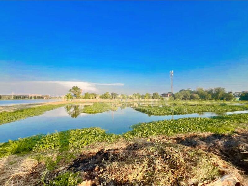 ขาย - ที่ดินแพรกษา สมุทรปราการ, สมุทรปราการ