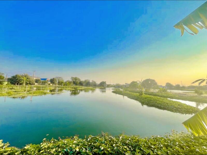 ขาย - ที่ดินแพรกษา สมุทรปราการ, สมุทรปราการ