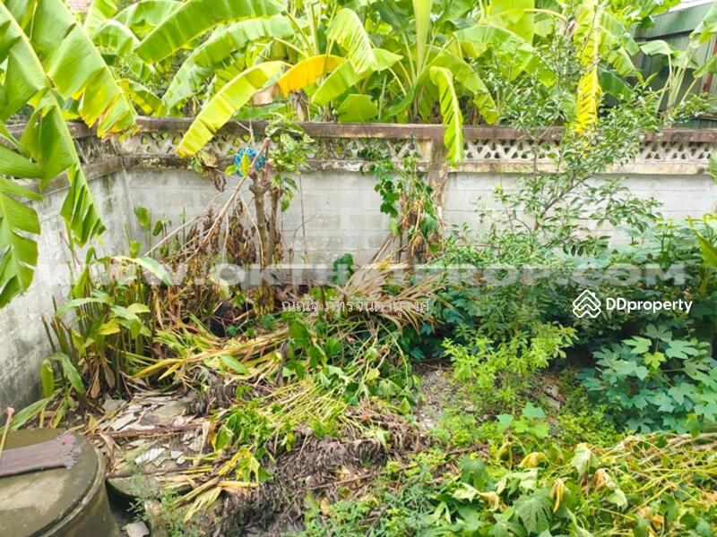 ขาย - ต.ไร่ขิง อ.สามพราน จ.นครปฐม, นครปฐม
