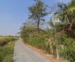 ขายที่ดินหนองหงษ์ 2 ไร่ ติดถนนคอนกรีต ใกล้ถนนเส้นชบ.3023-200เมตร อ.พานทอง, ชลบุรี