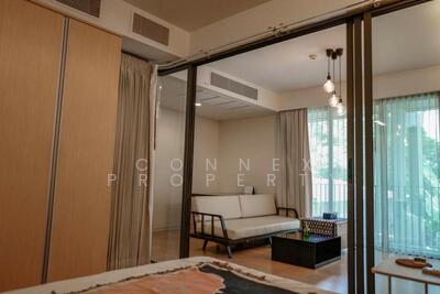 ขาย - Siamese Gioia : ไซมิส จอยญ่า, กรุงเทพ