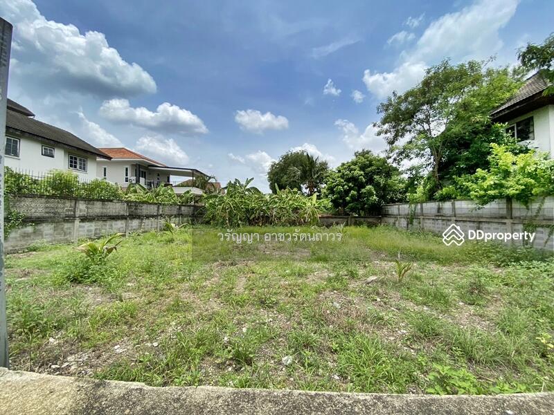 ขาย - ขายที่ดินเปล่า พุทธมณฑลสาย 2 ซอย 21 ที่ดินอยู่ใน หมู่บ้านอยู่เจริญ, กรุงเทพ