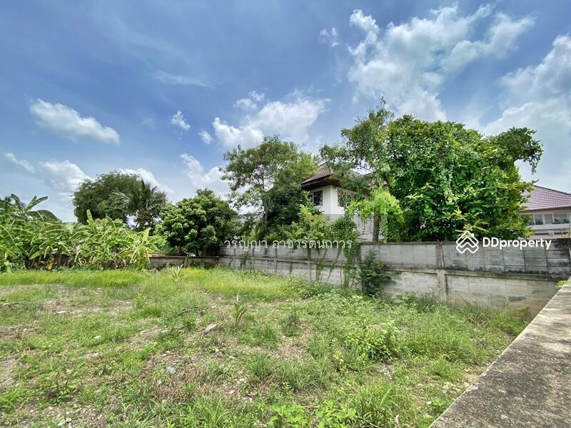 ขาย - ขายที่ดินเปล่า พุทธมณฑลสาย 2 ซอย 21 ที่ดินอยู่ใน หมู่บ้านอยู่เจริญ, กรุงเทพ