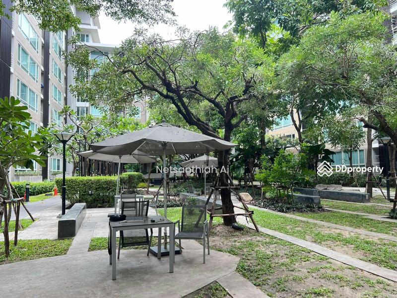 ให้เช่า - Elements Srinakarin : อิลีเม้นท์ ศรีนครินทร์, กรุงเทพ