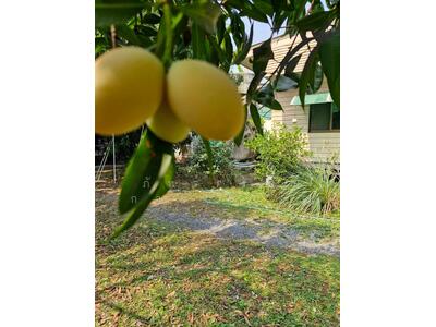 ขาย - นครนายก, นครนายก