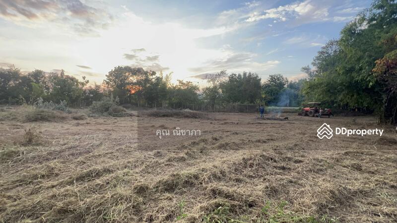 ขาย - ขายที่ดินแปลงใหญ่ อ.ดอยสะเก็ด จ.เชียงใหม่, เชียงใหม่