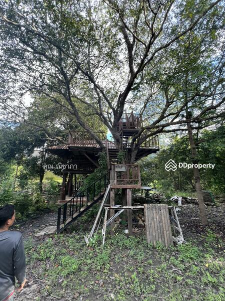 ขาย - ขายที่ดินแปลงใหญ่ อ.ดอยสะเก็ด จ.เชียงใหม่, เชียงใหม่